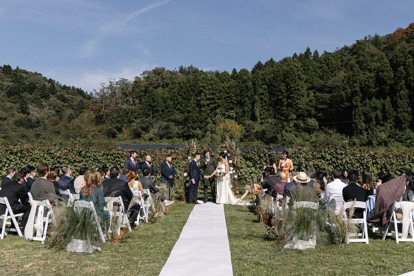 Guests watch an outdoor ceremony on a white aisle between vines.