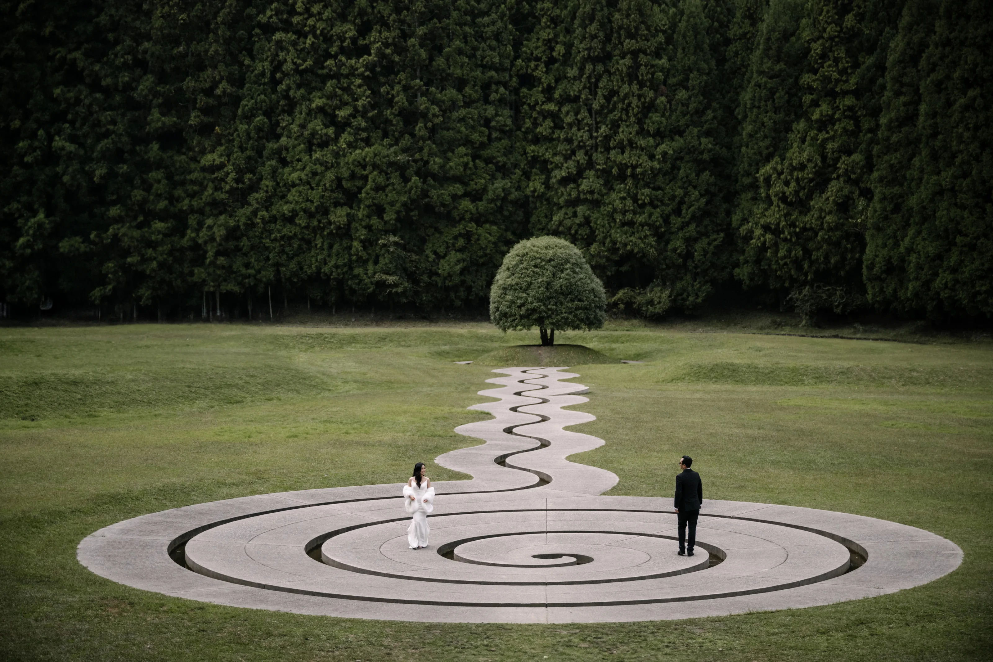 A couple stand within a broad, sculptural landscape of grass and trees.