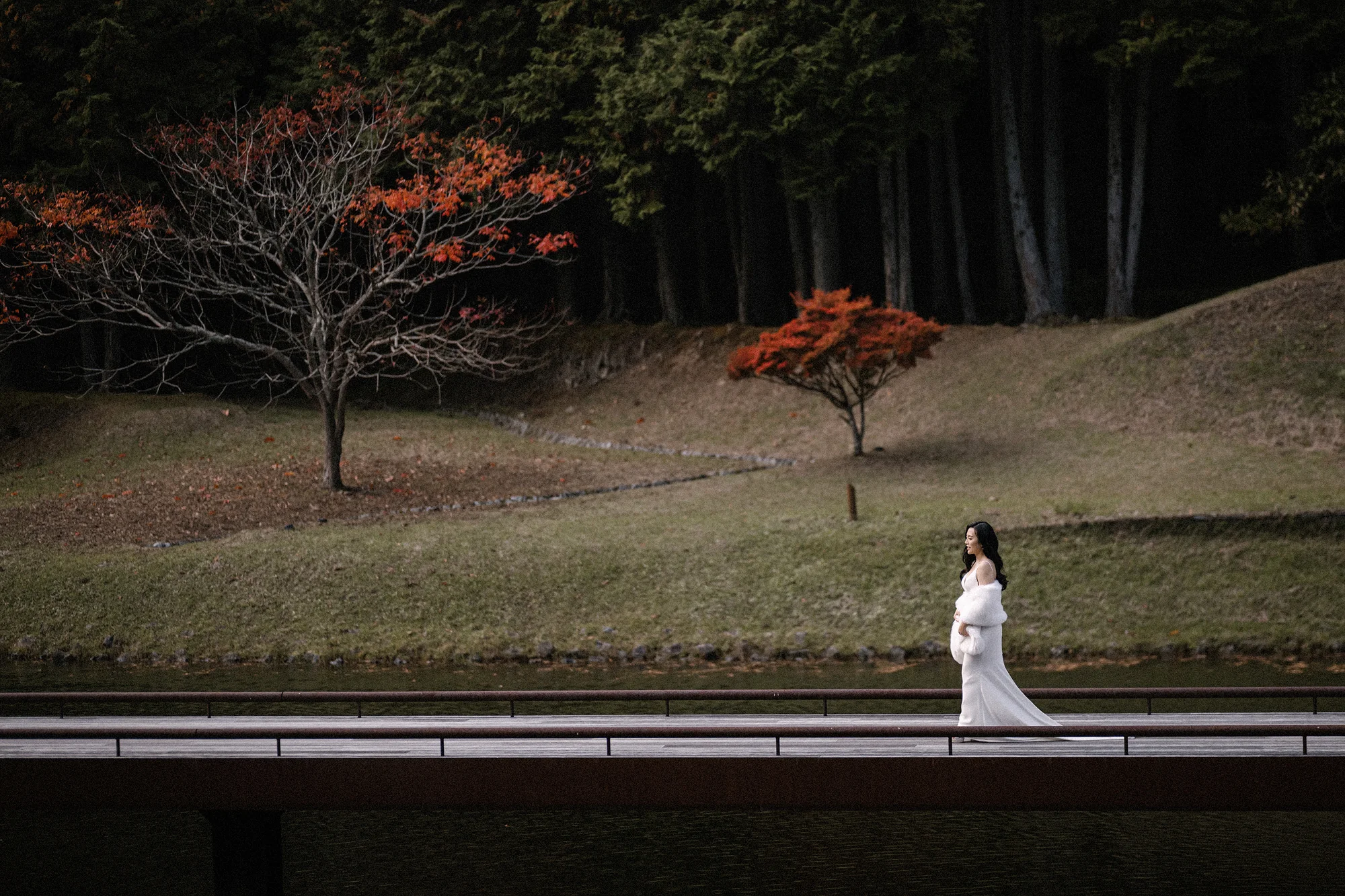 The bride walks alone along a low wall below a single red maple on a wide autumn lawn.