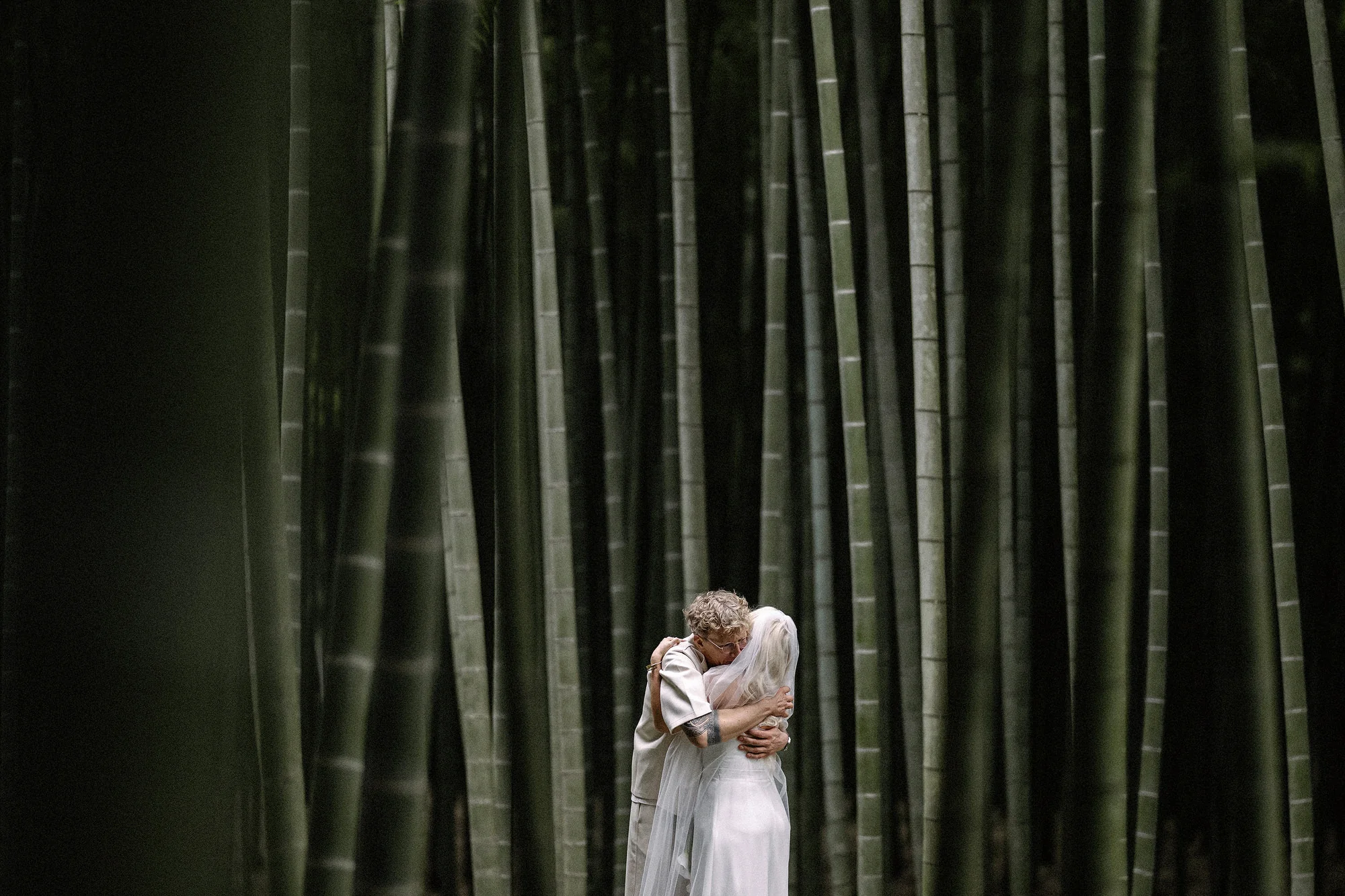 The couple hold each other close, small among towering green bamboo.