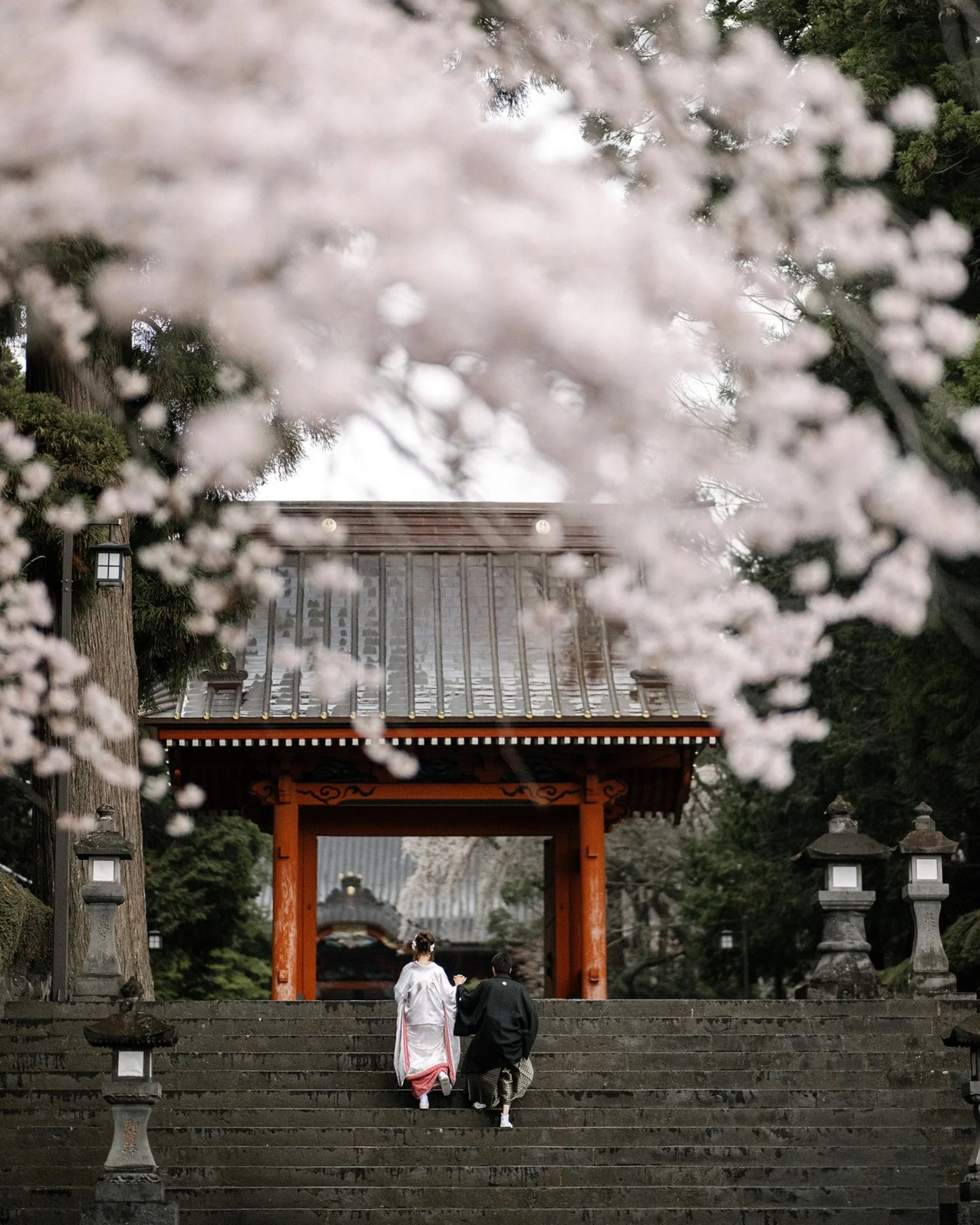 A bride and groom walk in procession at a Buddhist temple gate under cherry blossom.