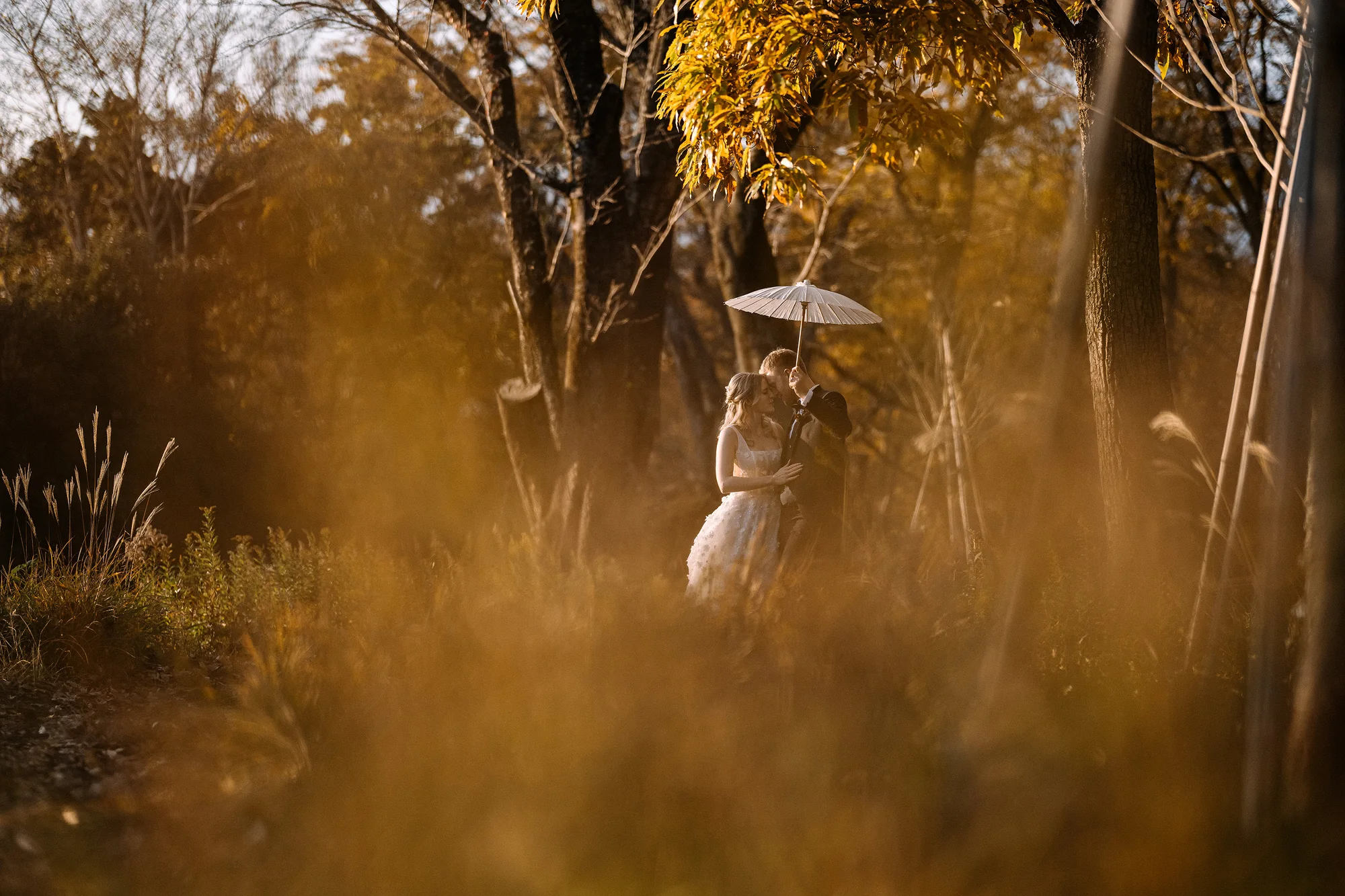 Late sun turns the autumn grass to gold around a couple sheltering under a paper parasol in the trees near Mt Fuji.