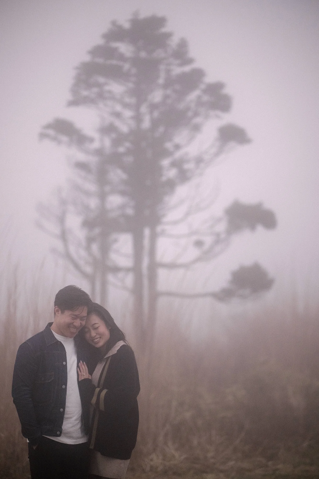 A couple share a quiet moment beneath a lone tree in thick mist at Taikanzan, Hakone.