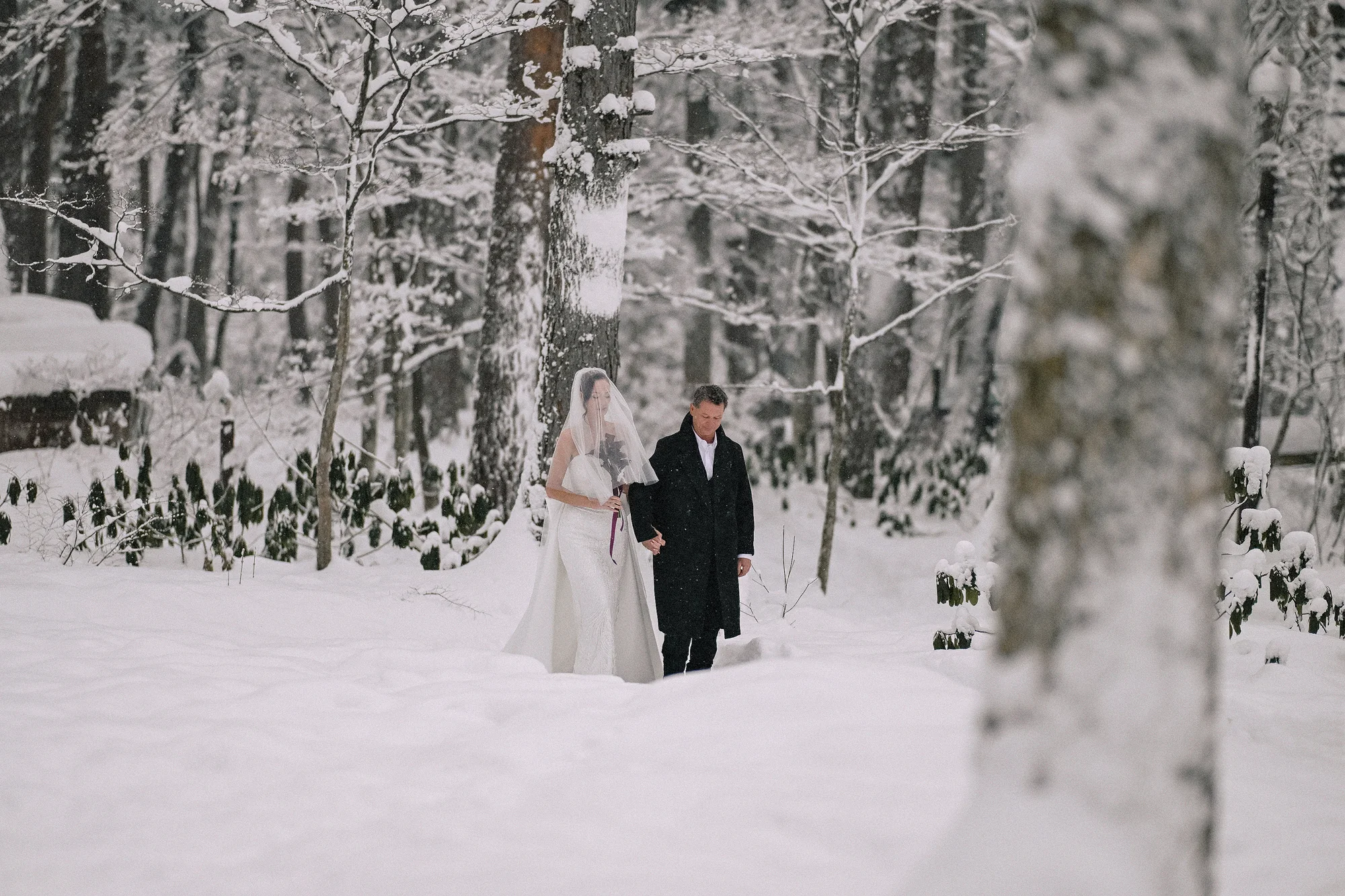 The bride and groom walk through falling snow in a Hakuba forest.