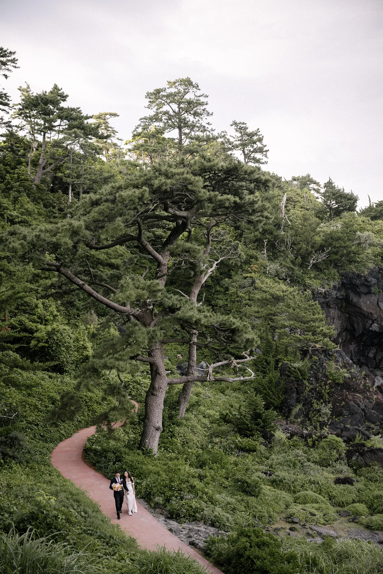 The couple walk a winding path through coastal pines above the sea on the Izu Peninsula.