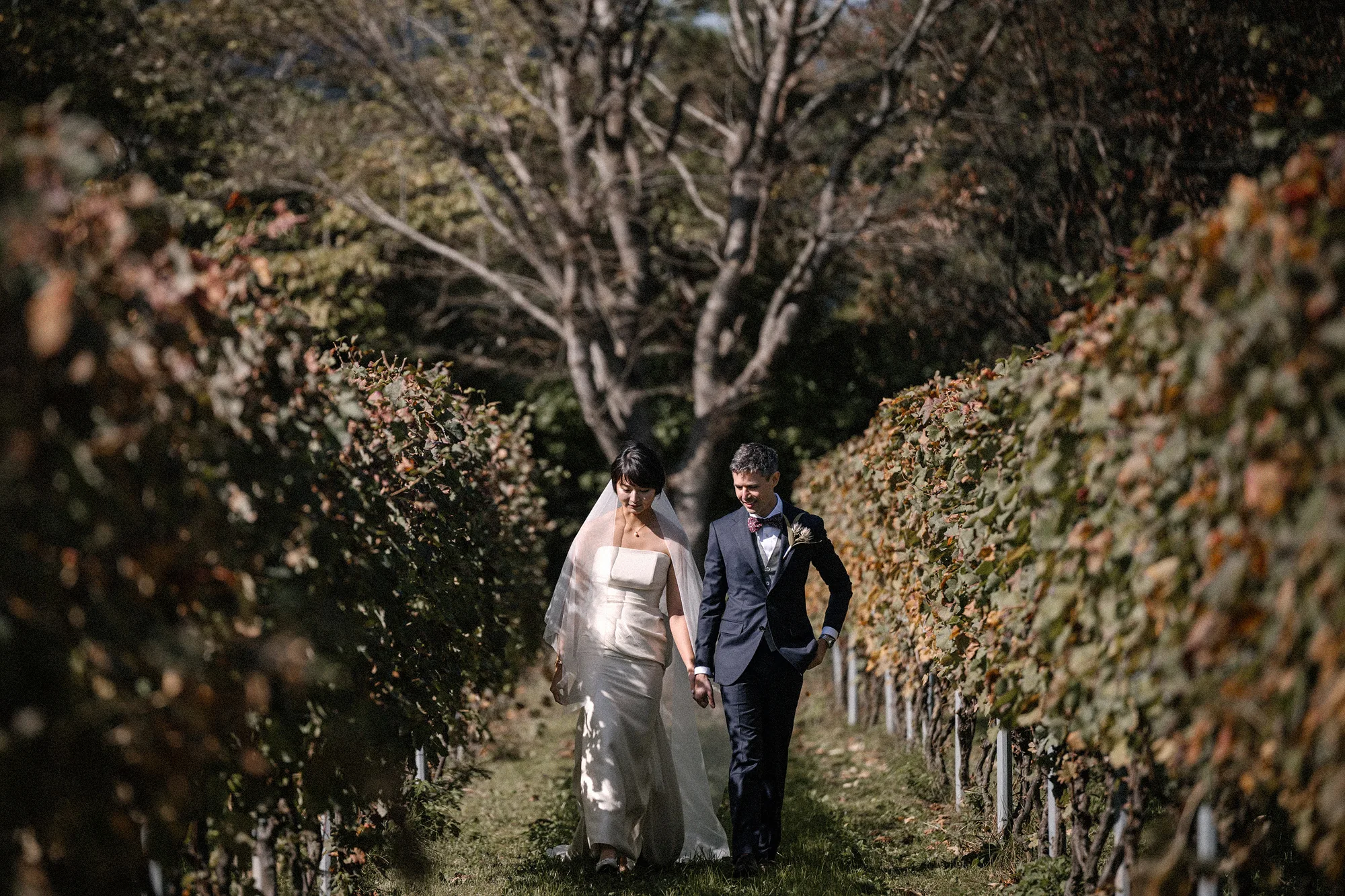 The bride and groom walk hand in hand between autumn vine rows at their Akiu Winery wedding near Sendai, a tall bare tree behind them.
