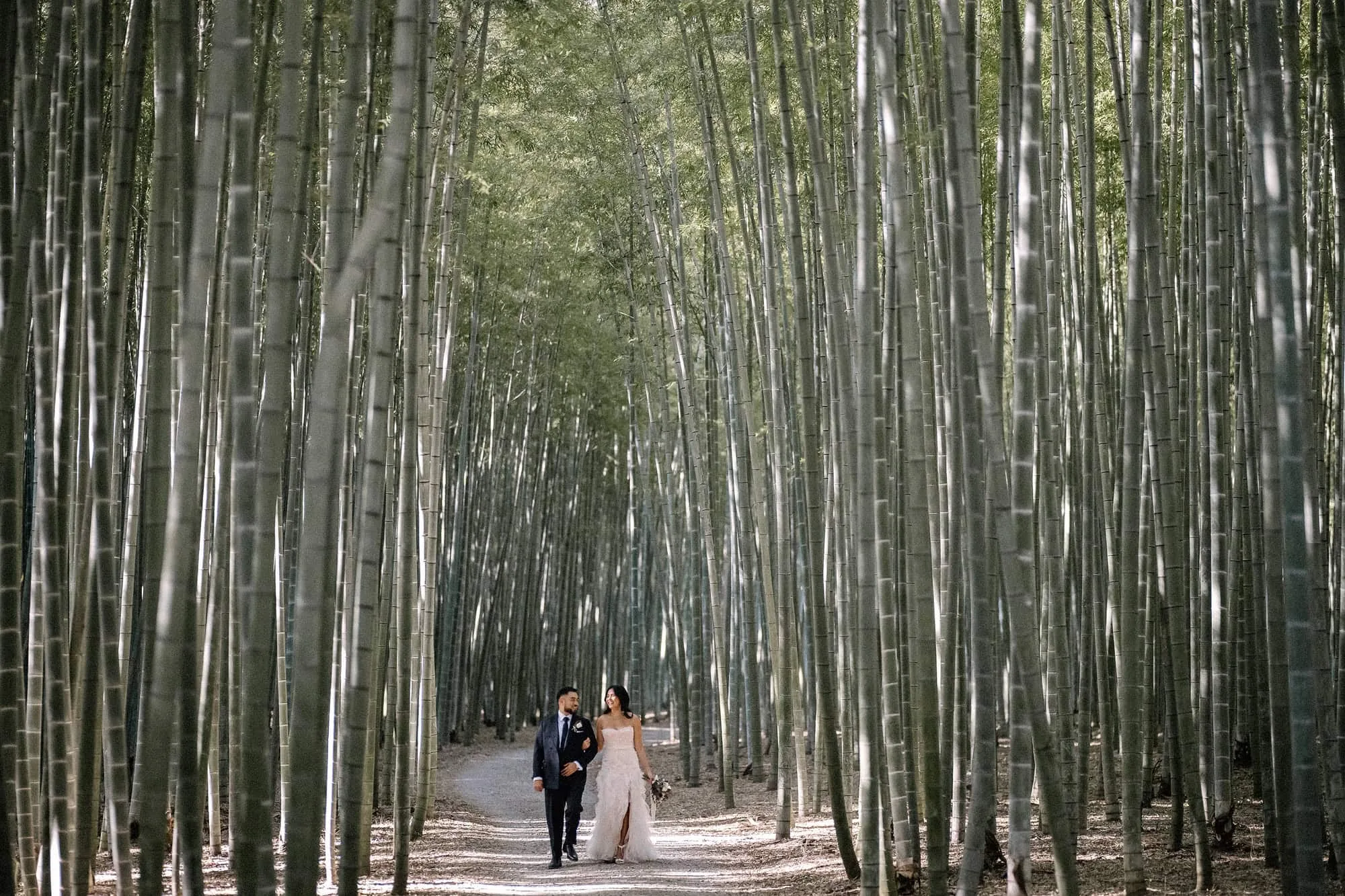 The bride and groom walk arm in arm up a pale path between walls of tall bamboo in a private bamboo forest in Tochigi.