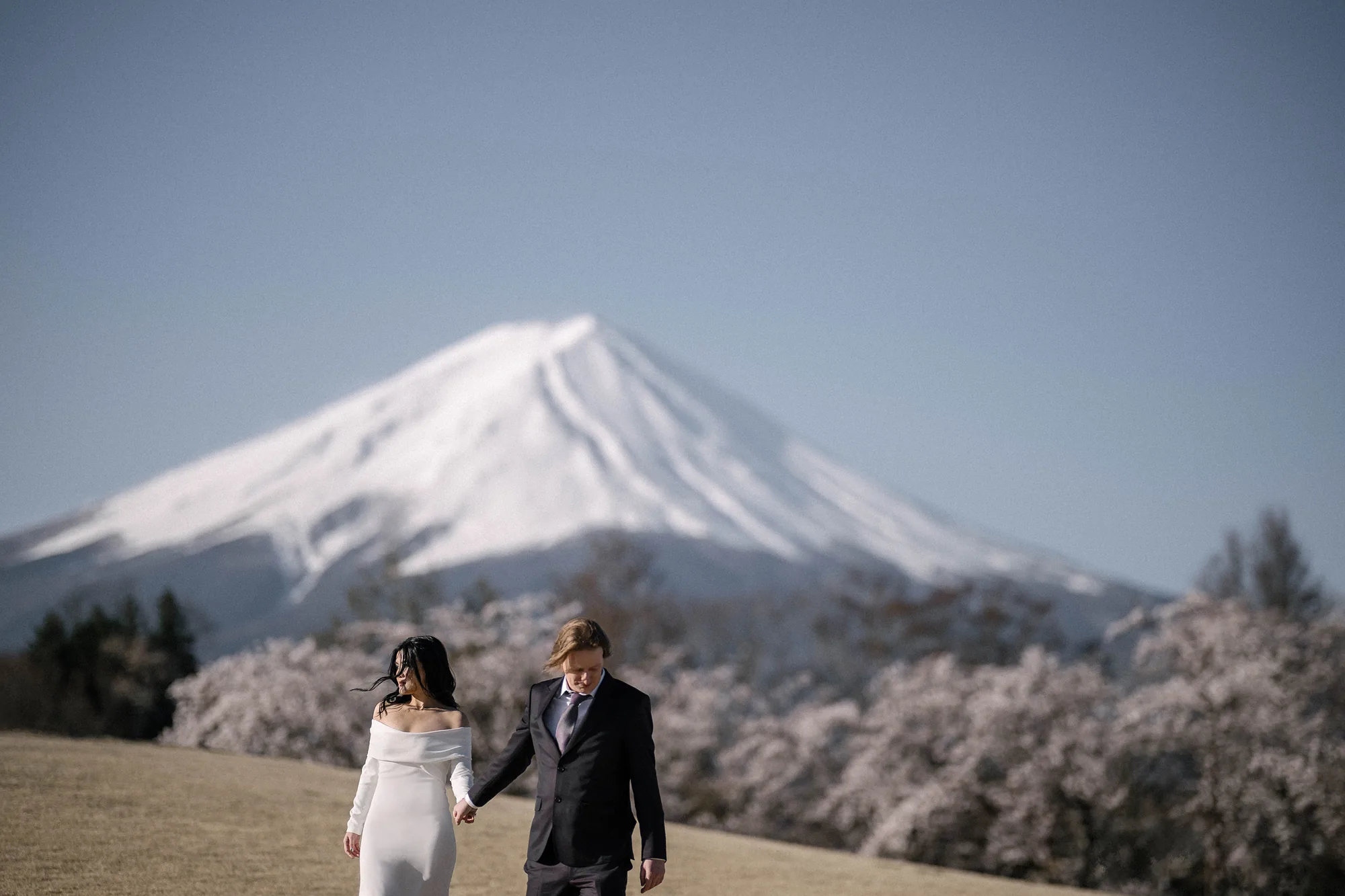 The couple walk hand in hand in front of cherry trees in bloom with snow capped Mt Fuji behind, on their spring pre-wedding shoot.