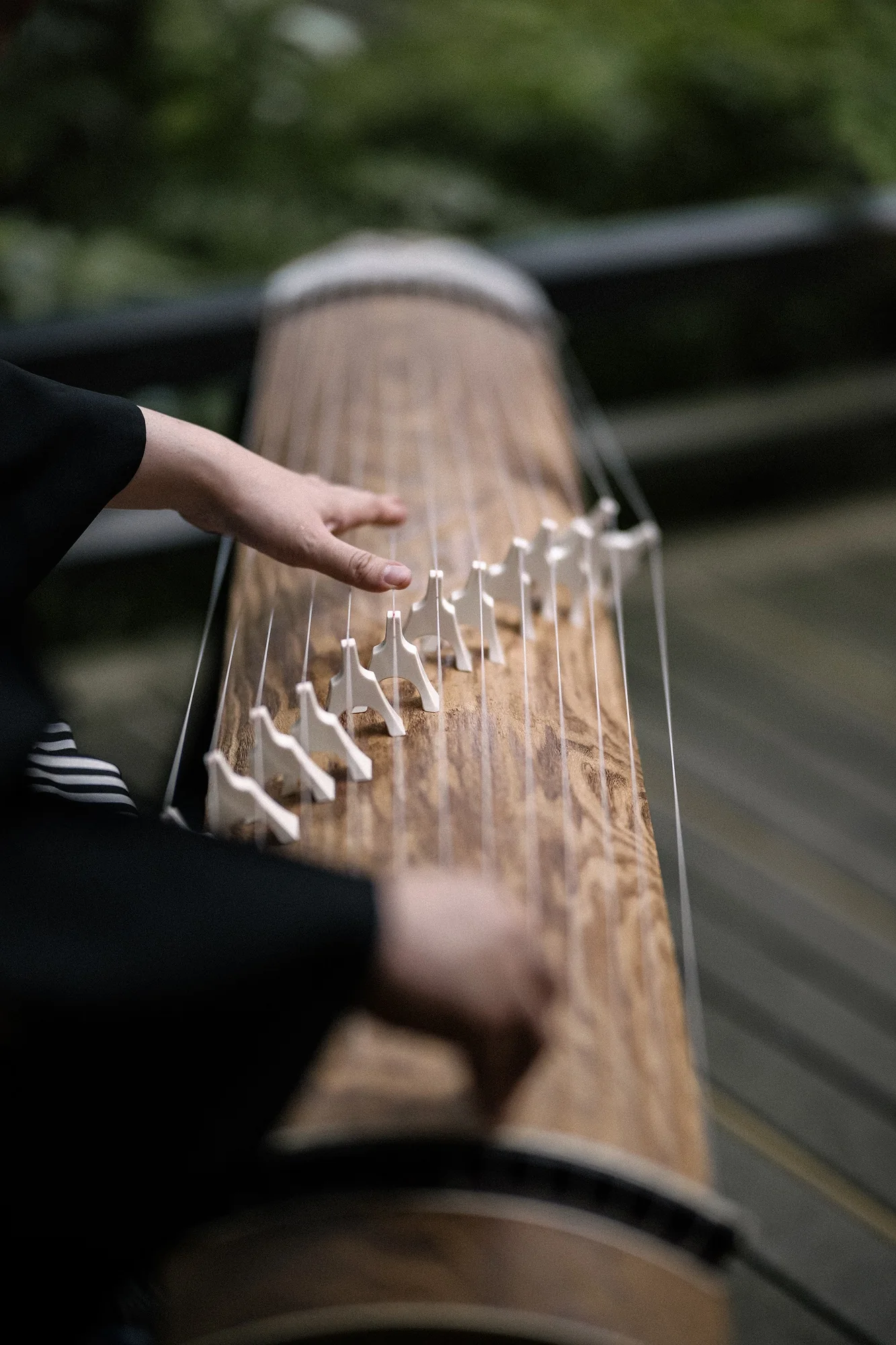 A koto player's hands on the strings during a garden wedding ceremony.