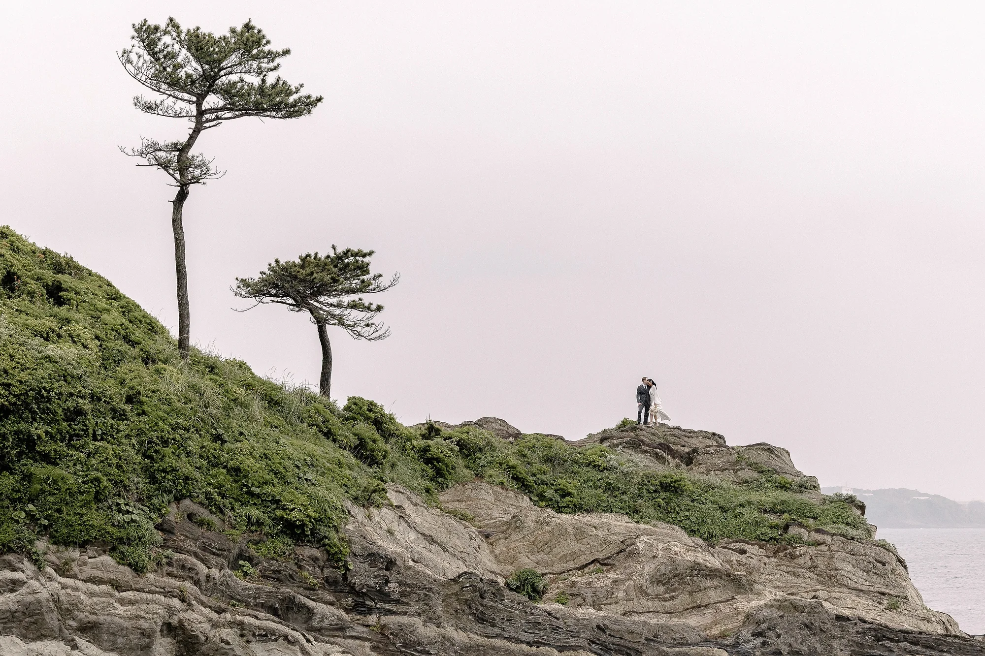 A couple stand small on a cliff edge beneath wind-bent pines above the sea.