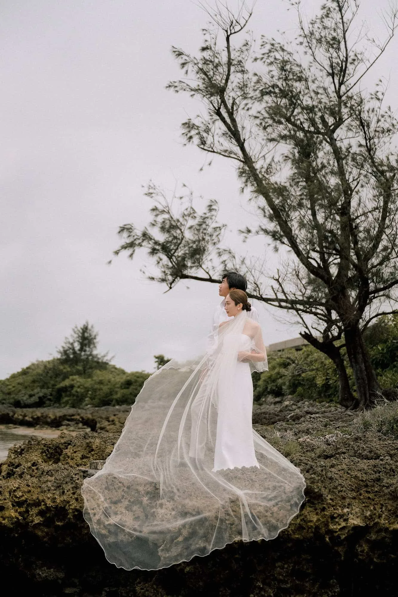 The groom stands behind the bride on reef rock under a wind-bent tree, her long veil spread over the stone, in Miyakojima.