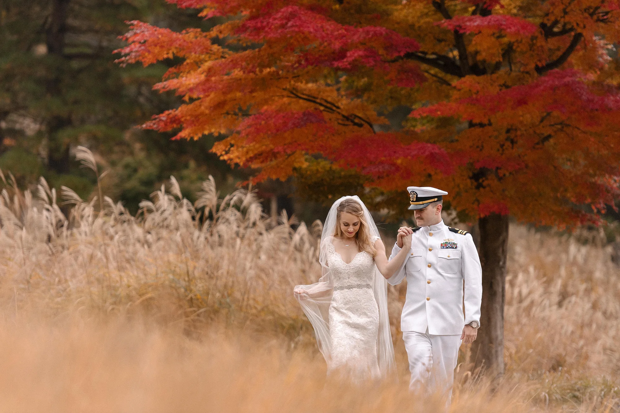 The groom in naval whites and the bride walk through golden pampas beneath a blazing red maple.