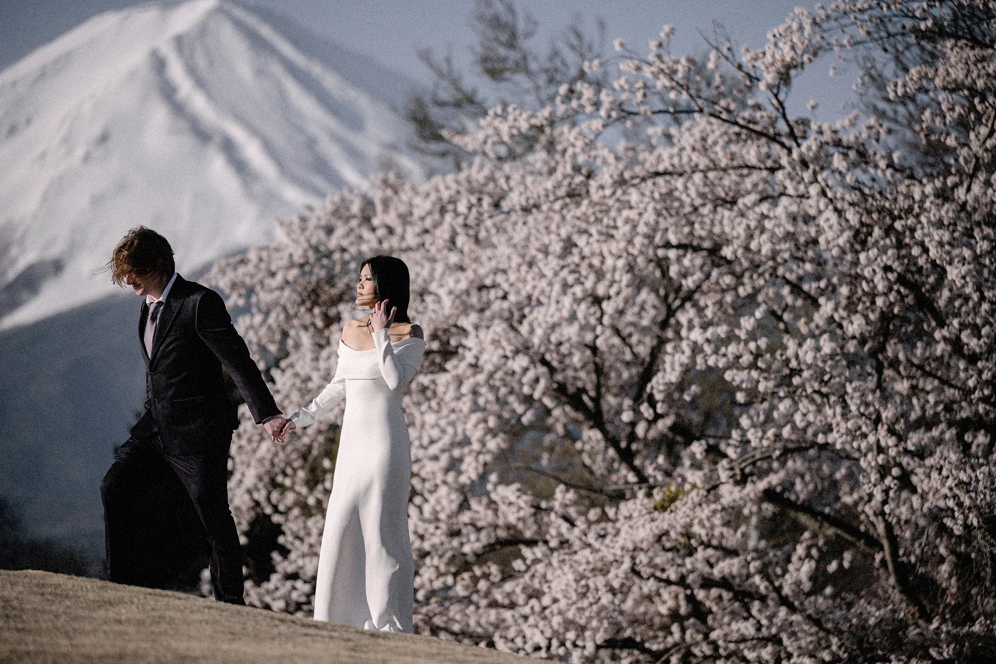 A couple walk below cherry blossom, Mt Fuji white above them.