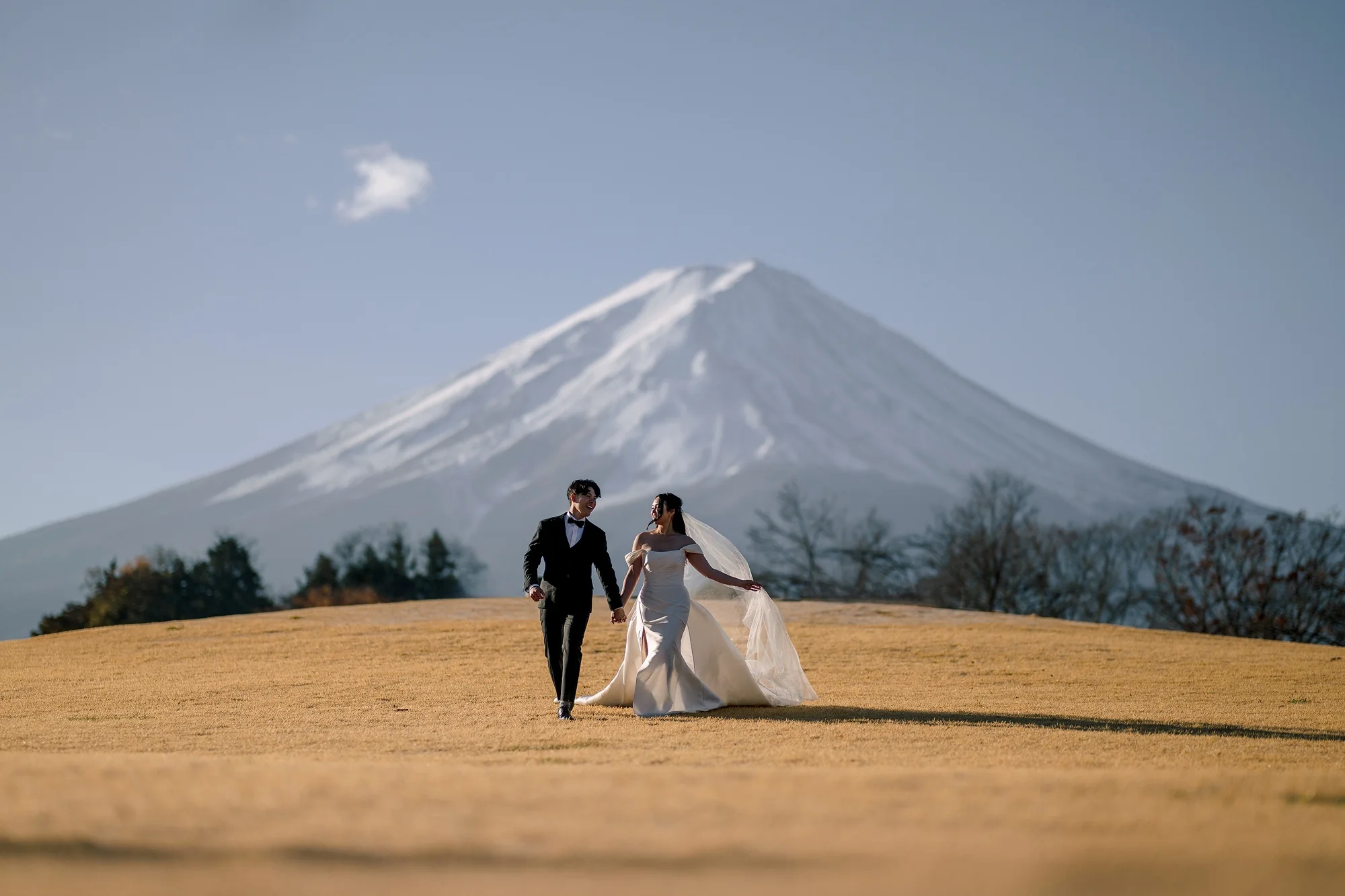 A couple walk hand in hand across a golden hillside below Mt Fuji on a clear morning.