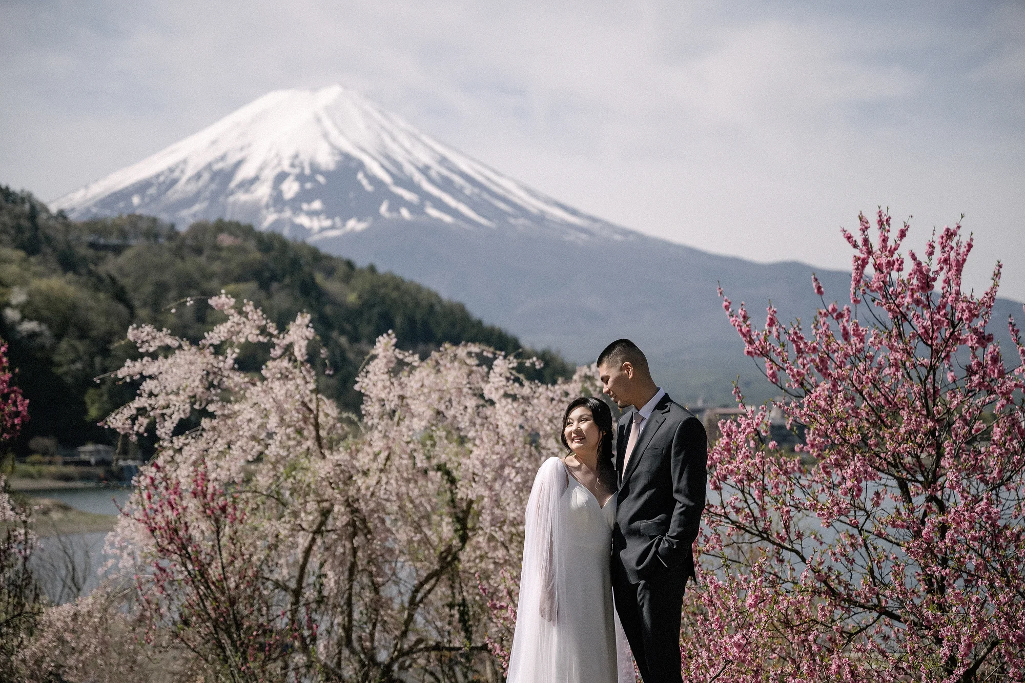 A couple among peach blossom, snow-capped Mt Fuji behind them.