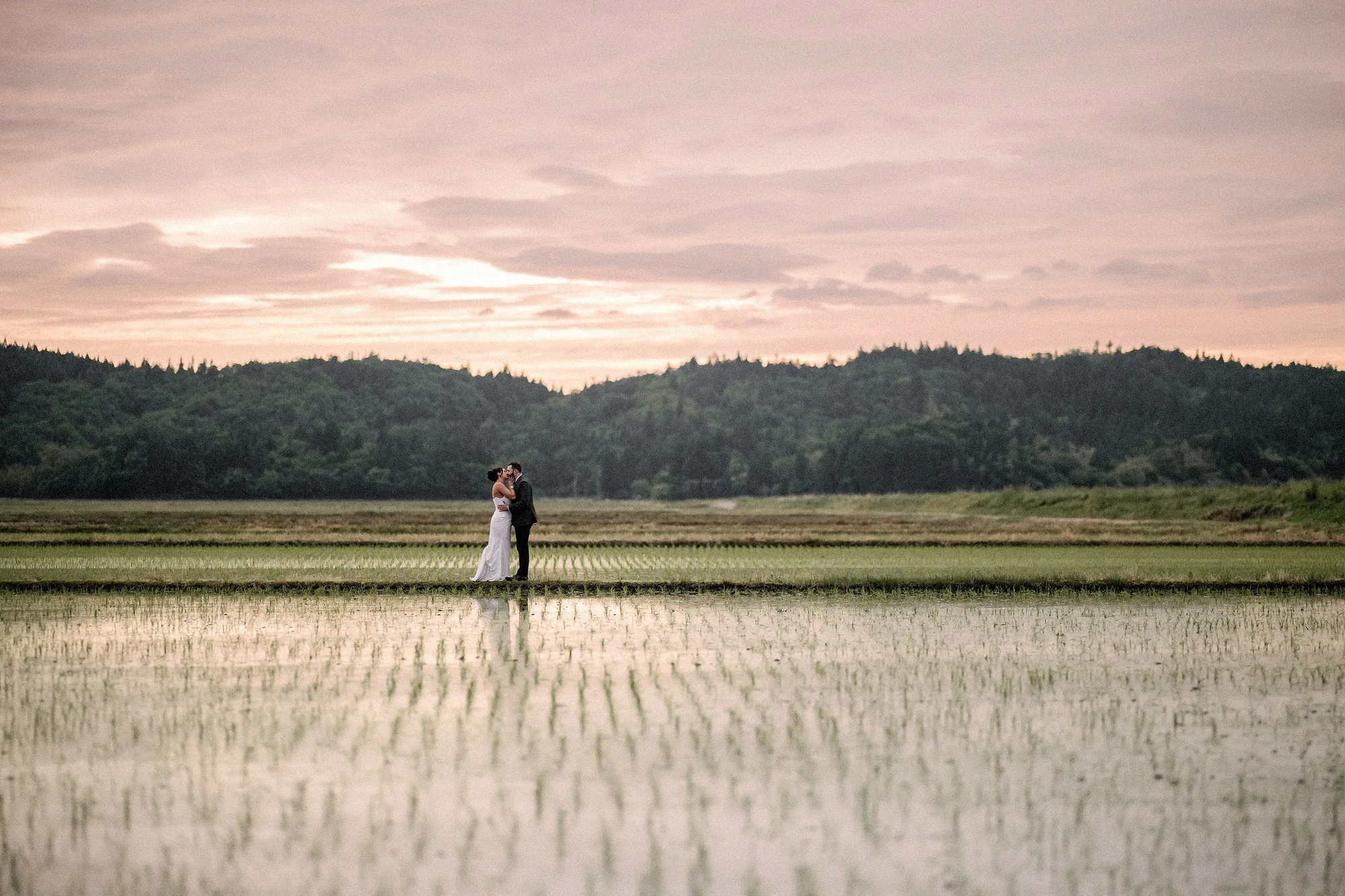The couple kiss, small in the middle of flooded rice fields at sunset, in Niigata.