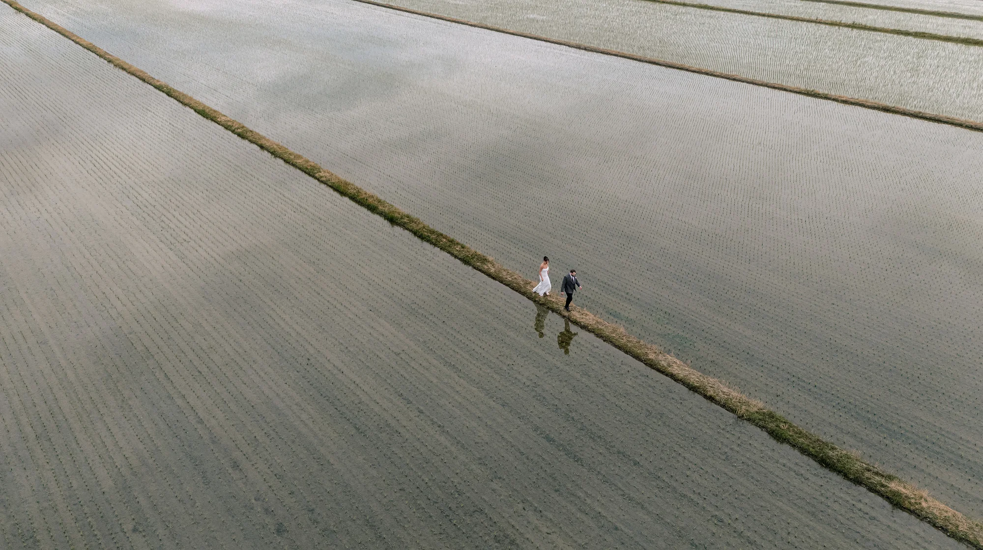 From above, a couple walk a narrow path between flooded rice paddies.