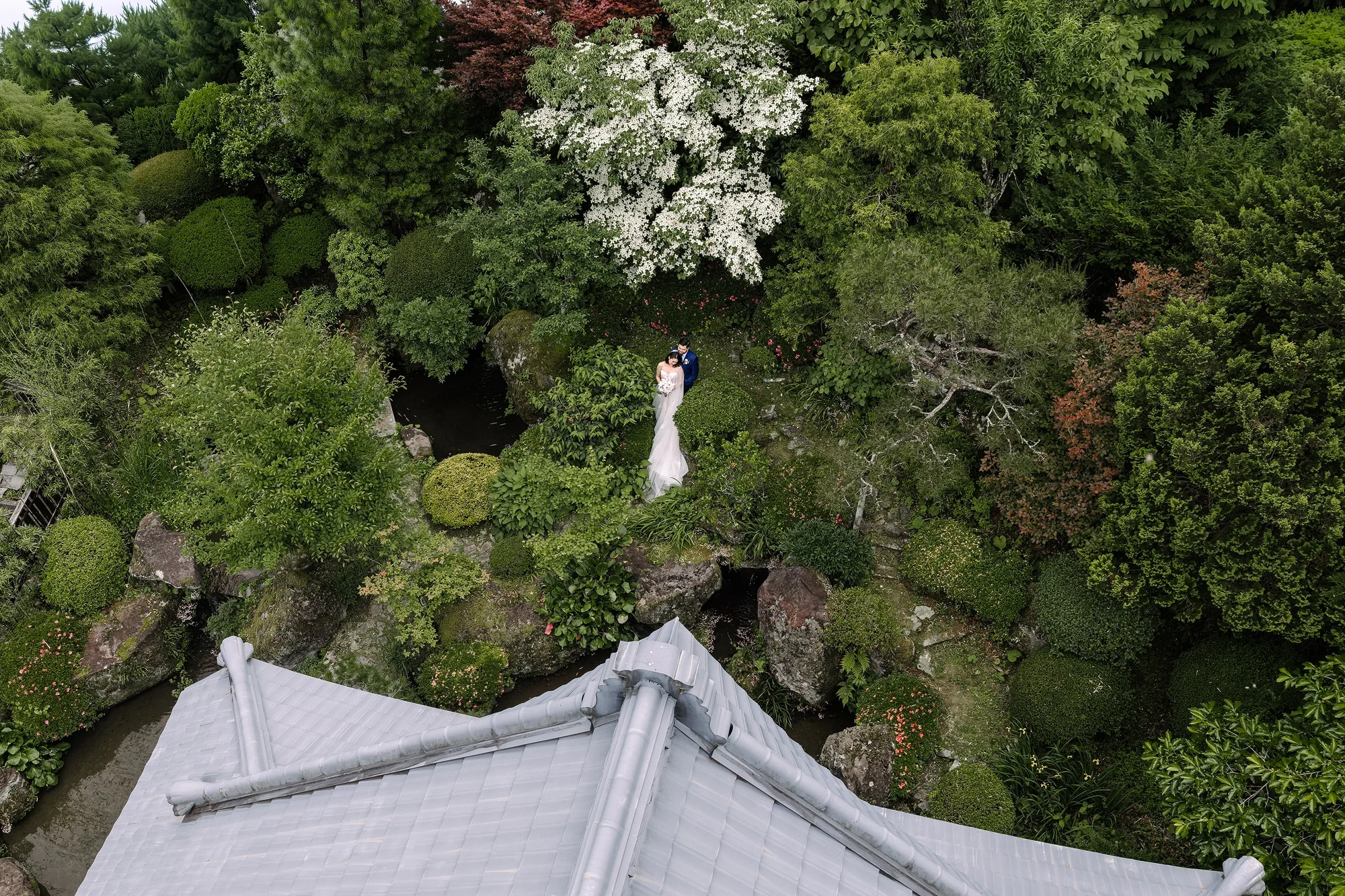 From above, a couple in a walled garden among white dogwood in Kosuge.