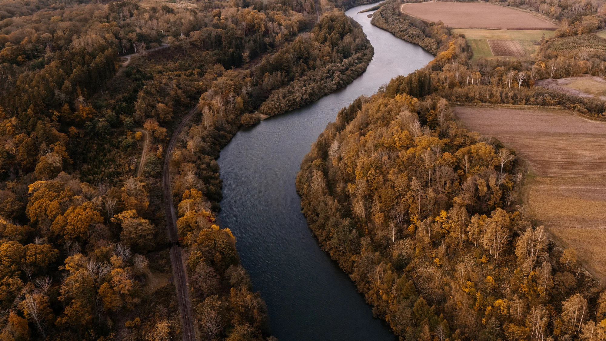An autumn river winding through gold and copper forest near Niseko, seen from above.