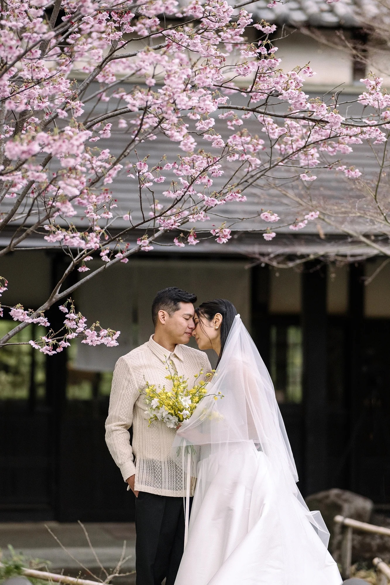 The couple kiss beneath cherry blossom.
