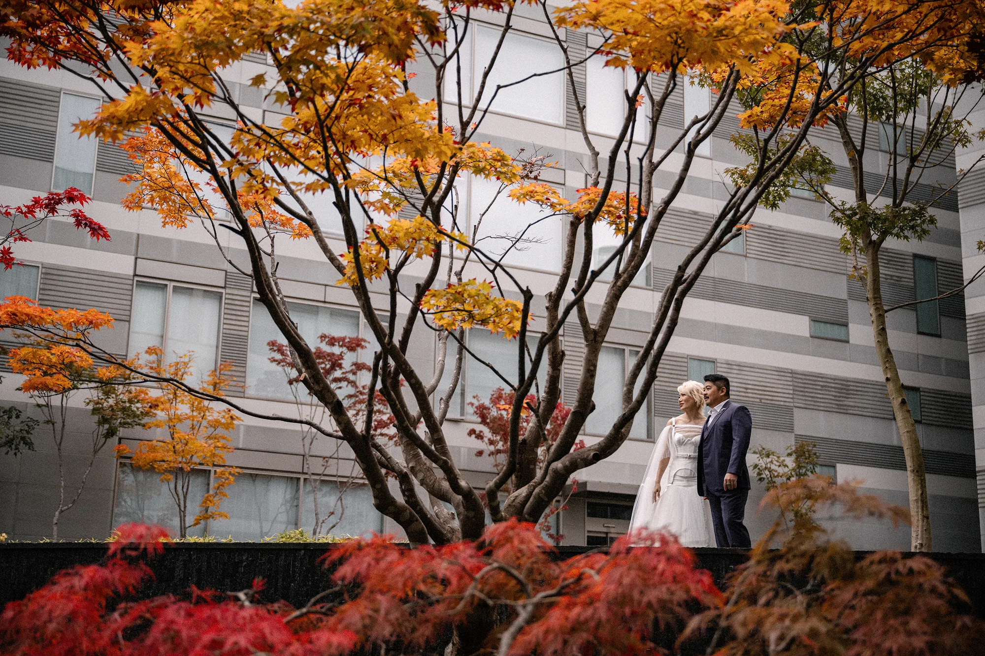 The couple beneath a blazing autumn maple in the courtyard of Setsu Niseko.