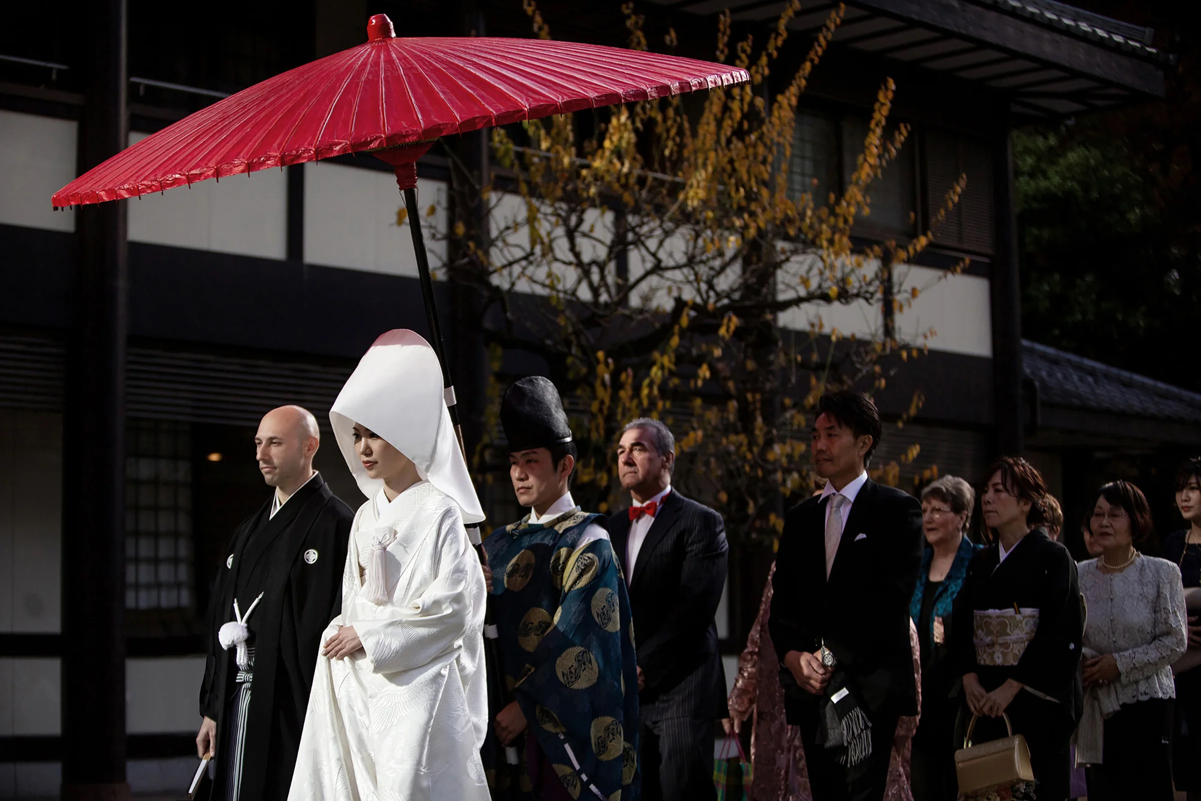 A shrine wedding procession under a red parasol, the bride in a white wataboshi.