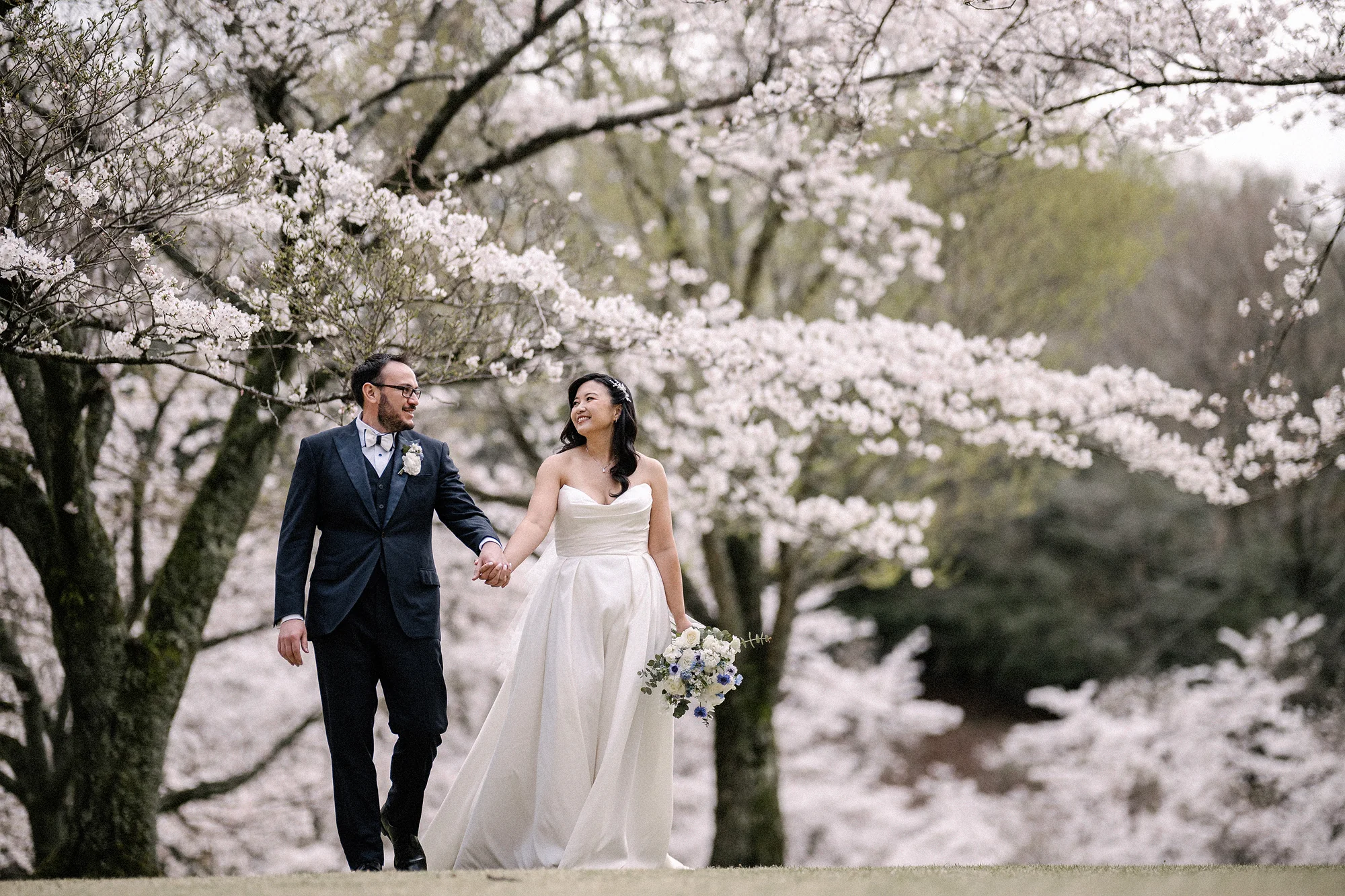 The couple walk beneath great cherry trees in full blossom in Shuzenji, Izu.