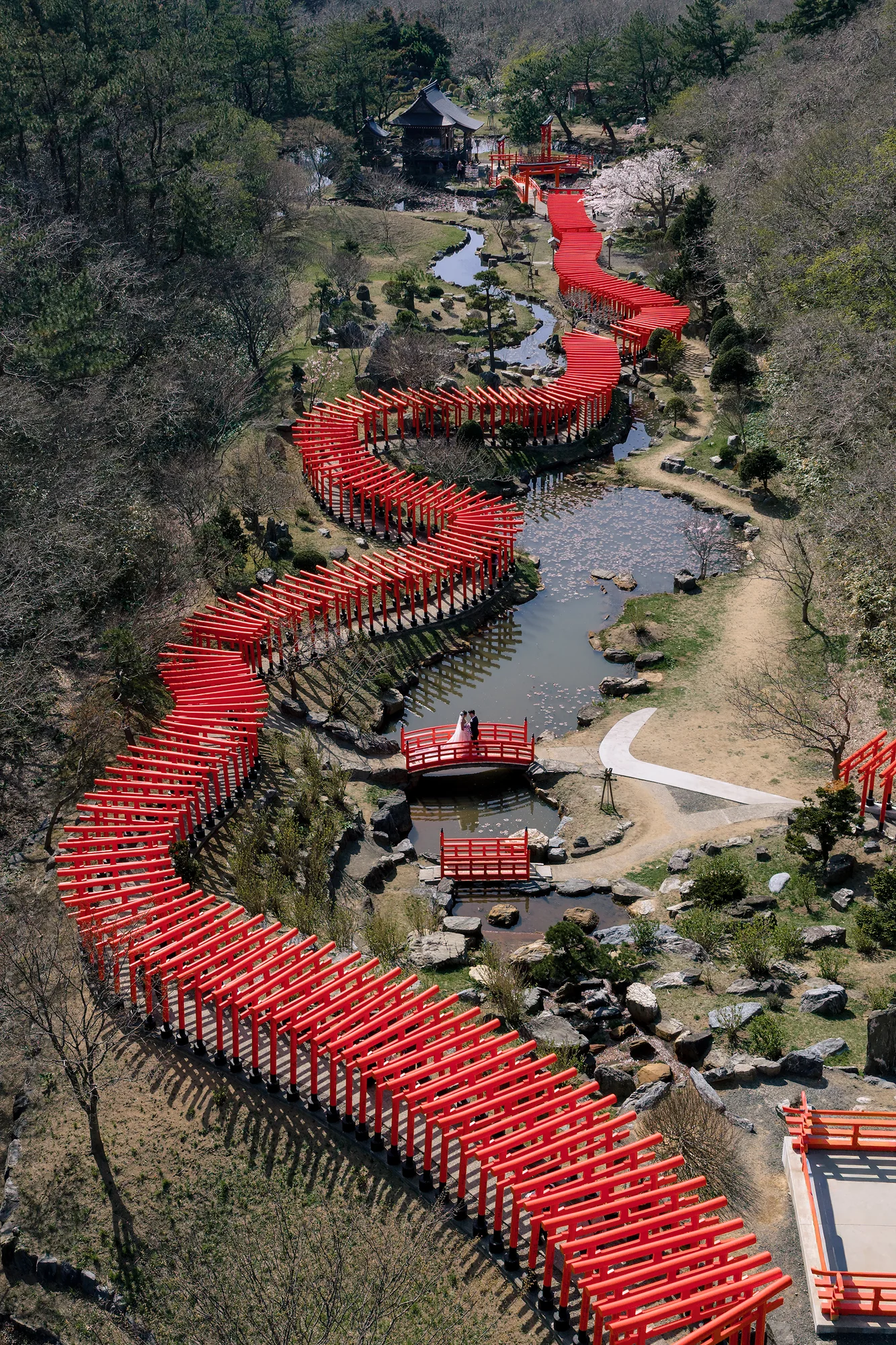 From above, the couple stand on a small red bridge as rows of vermilion torii wind through the garden at Takayama Inari Shrine in Aomori.
