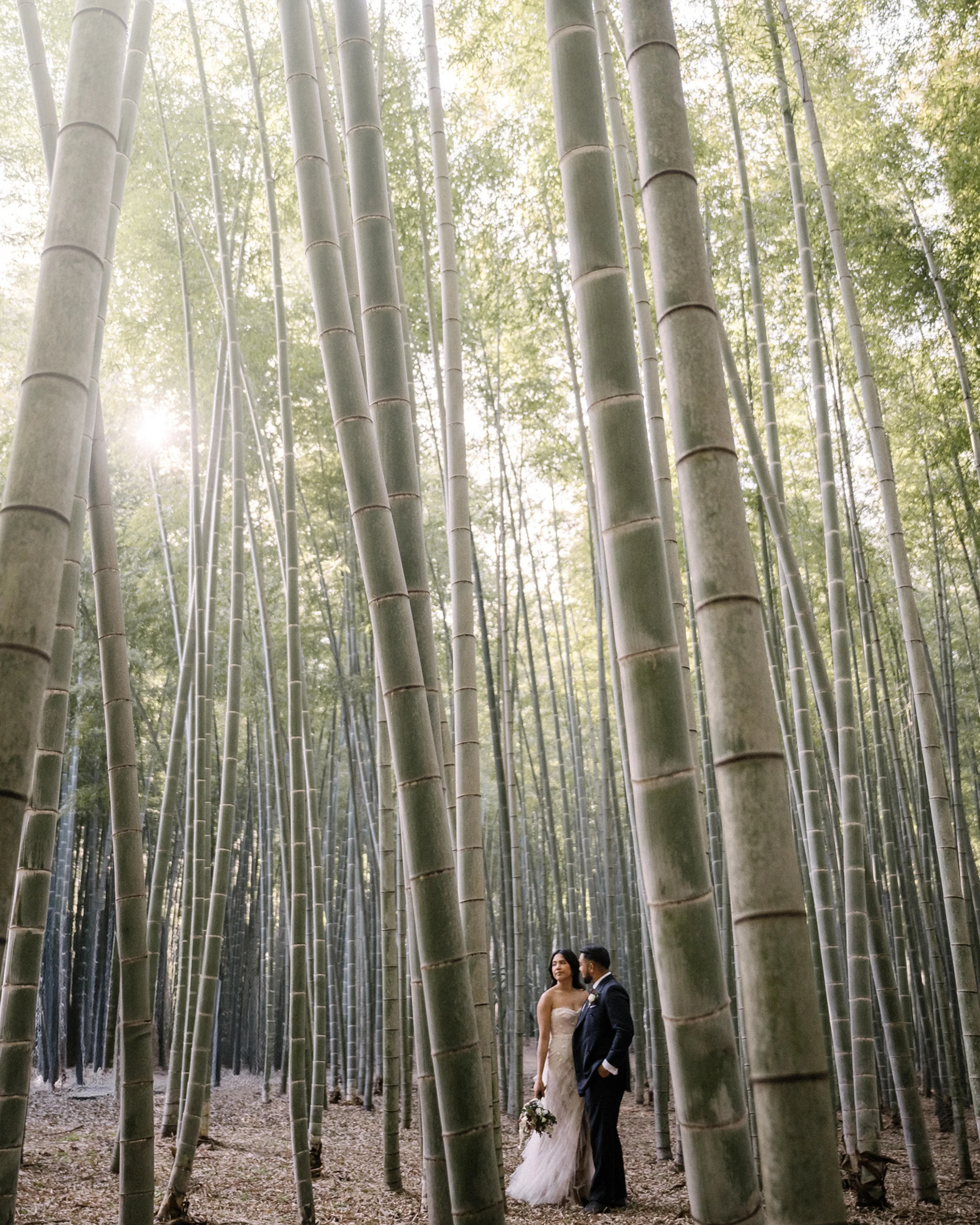 The couple stand among tall bamboo in a private bamboo forest in Tochigi.