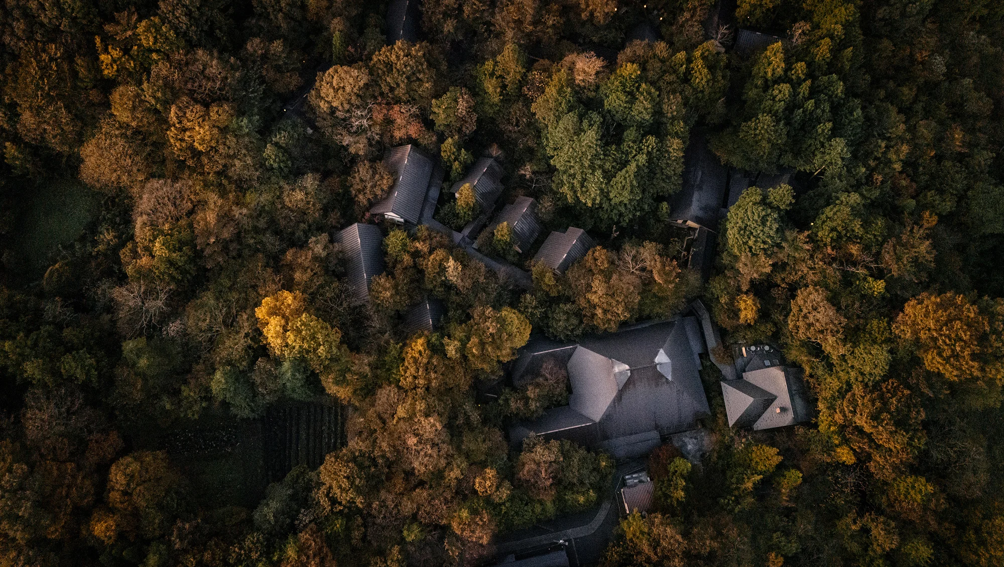 From above, the roofs of an onsen ryokan in autumn forest.