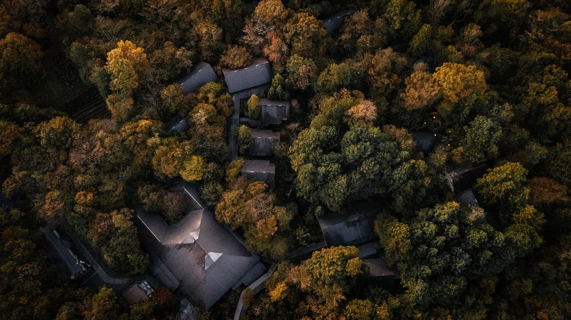 From above, an onsen ryokan's roofs among autumn trees.